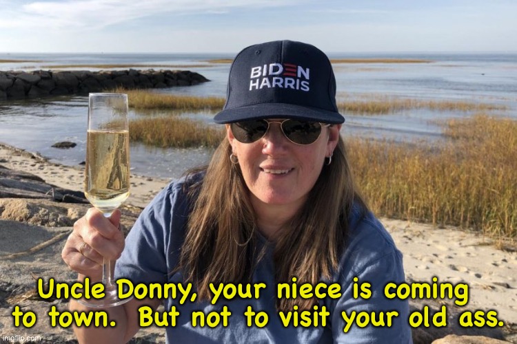 Mary Trump Biden Harris | Uncle Donny, your niece is coming 
to town.  But not to visit your old ass. | image tagged in mary trump biden harris | made w/ Imgflip meme maker