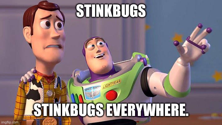 Stinkbugs | STINKBUGS; STINKBUGS EVERYWHERE. | image tagged in idiots everywhere | made w/ Imgflip meme maker