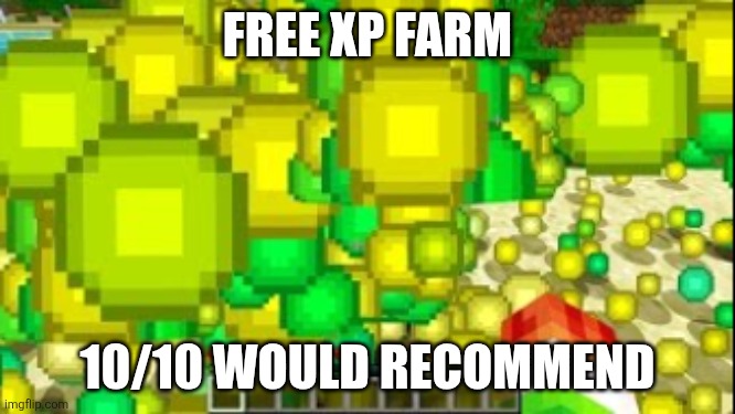 minecaft xp | FREE XP FARM 10/10 WOULD RECOMMEND | image tagged in minecaft xp | made w/ Imgflip meme maker