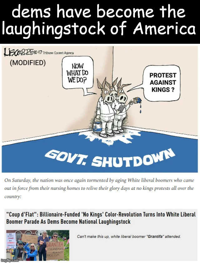 dems have become the laughingstock of America | dems have become the laughingstock of America | image tagged in america knows,schumer shutdown,failed no kings protest,dems,laughingstock | made w/ Imgflip meme maker