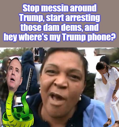 Finally woke up to the dem con. | Stop messin around Trump, start arresting those dam dems, and hey where's my Trump phone? | image tagged in obamaphone lady | made w/ Imgflip meme maker