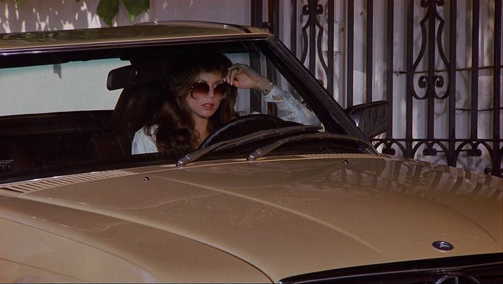 Deborah Shelton (American Beauty Queen) Blank Meme Template