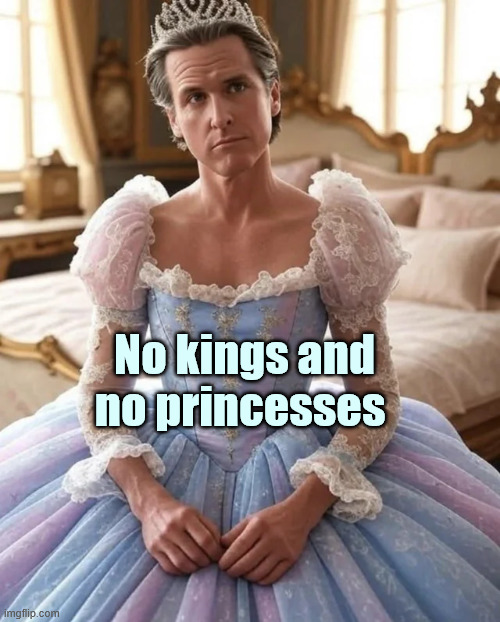 No kings and no princesses | No kings and no princesses | image tagged in political,reposts | made w/ Imgflip meme maker