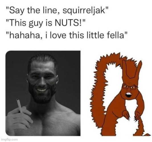 Nutz | image tagged in memez | made w/ Imgflip meme maker