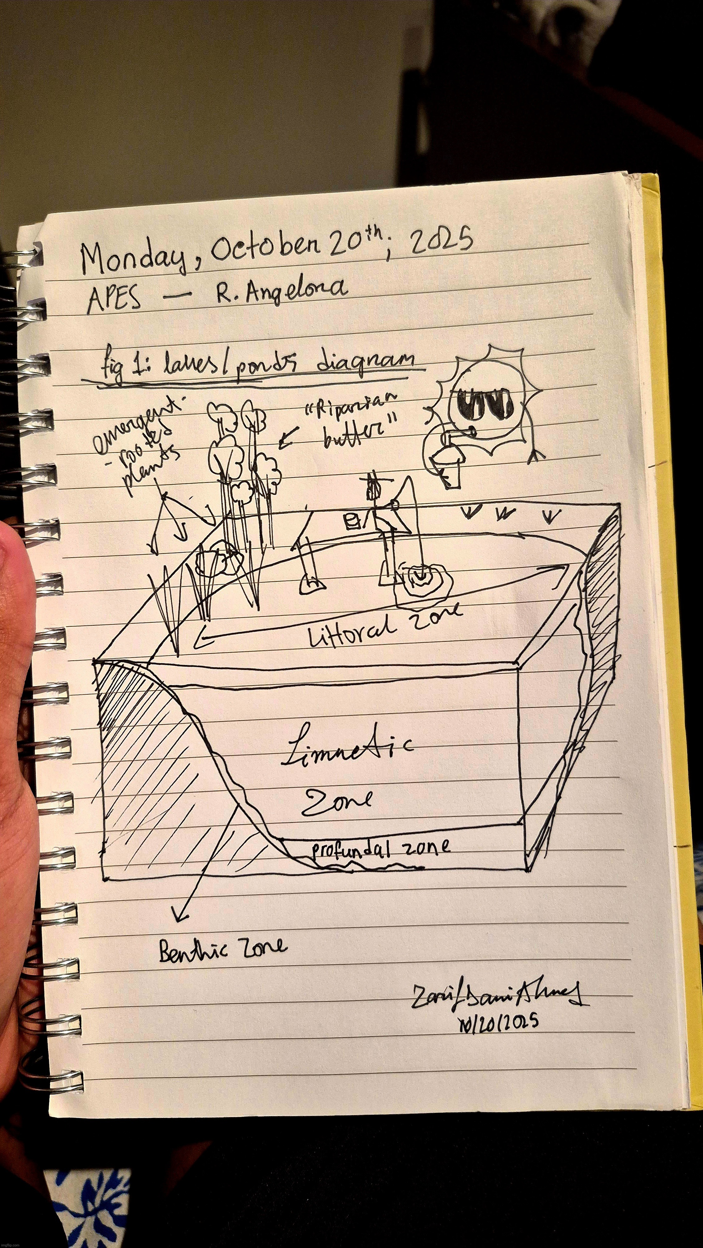 Hw | made w/ Imgflip meme maker