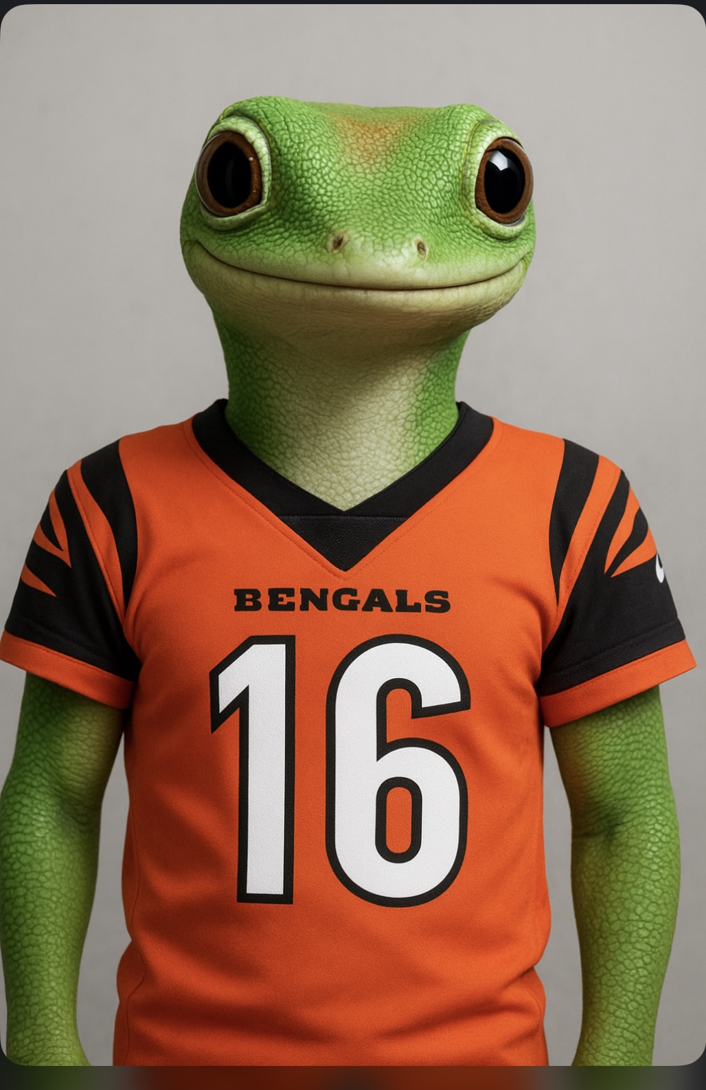 Joe Blank Meme Template