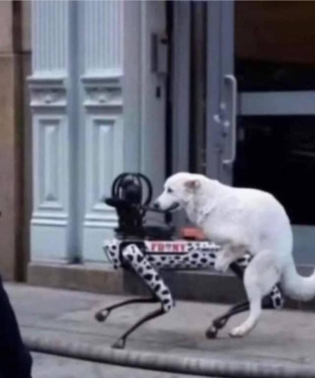 Cyberpunk Blank Meme Template