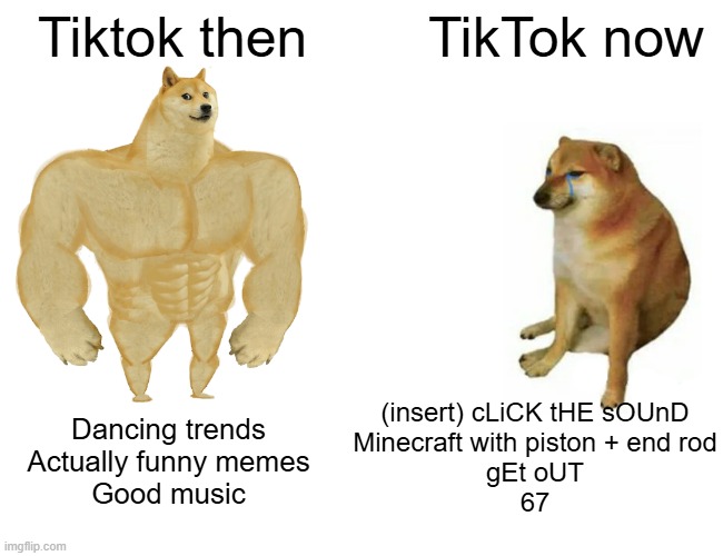Back then it was a bit cringe but were happy | Tiktok then; TikTok now; (insert) cLiCK tHE sOUnD
Minecraft with piston + end rod
gEt oUT
67; Dancing trends
Actually funny memes
Good music | image tagged in memes,buff doge vs cheems,fun,so true memes,relatable,tiktok | made w/ Imgflip meme maker