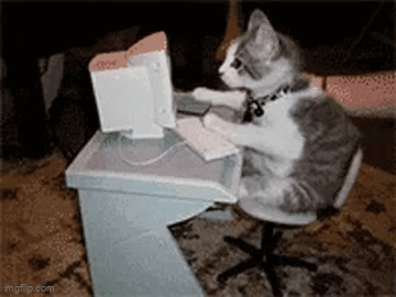 Gato Programando - Imgflip