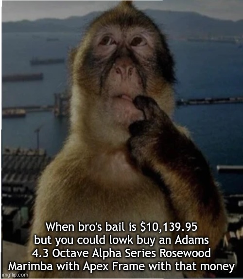 Lowk though...(Mod note: does this include taxes?) | When bro's bail is $10,139.95 but you could lowk buy an Adams 4.3 Octave Alpha Series Rosewood Marimba with Apex Frame with that money | image tagged in thinking monkey | made w/ Imgflip meme maker