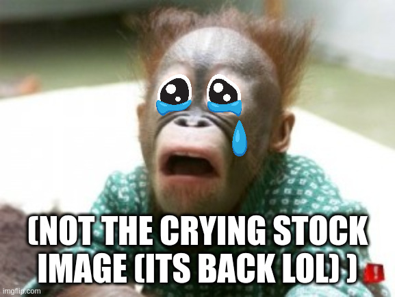 Mind blown | (NOT THE CRYING STOCK IMAGE (ITS BACK LOL) ) | image tagged in mind blown | made w/ Imgflip meme maker