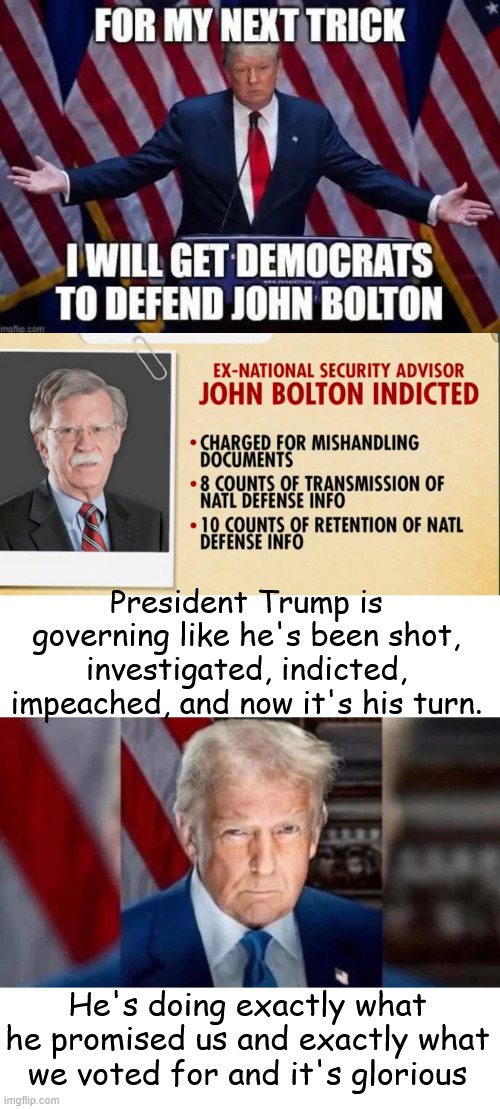 Taking down the corrupt status quo... | President Trump is governing like he's been shot, investigated, indicted, impeached, and now it's his turn. He's doing exactly what he promised us and exactly what we voted for and it's glorious | image tagged in president trump,delivering on campaign promises | made w/ Imgflip meme maker