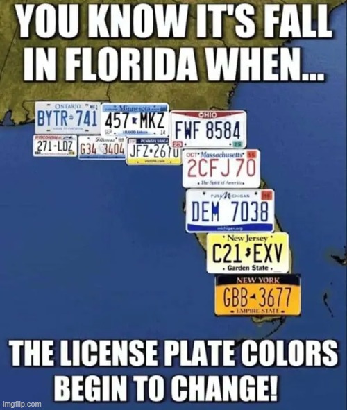 Meanwhile.... in Florida | image tagged in vince vance,florida,change of seasons,memes,fall,license plate | made w/ Imgflip meme maker