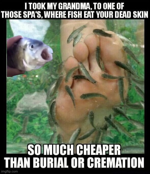 Funeral Alternatives | image tagged in funeral,grandma,dark humour,dark humor,dead people,fish | made w/ Imgflip meme maker