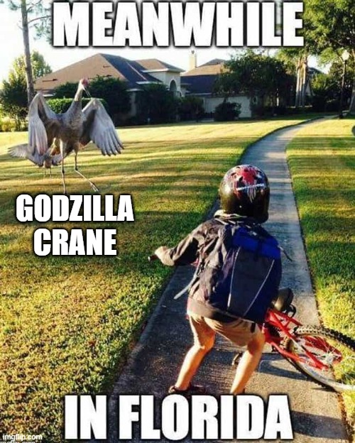 Where Wildlife really has a Wild Life | GODZILLA CRANE | image tagged in vince vance,meanwhile in florida,crane,godzilla,little boy,bicycle | made w/ Imgflip meme maker