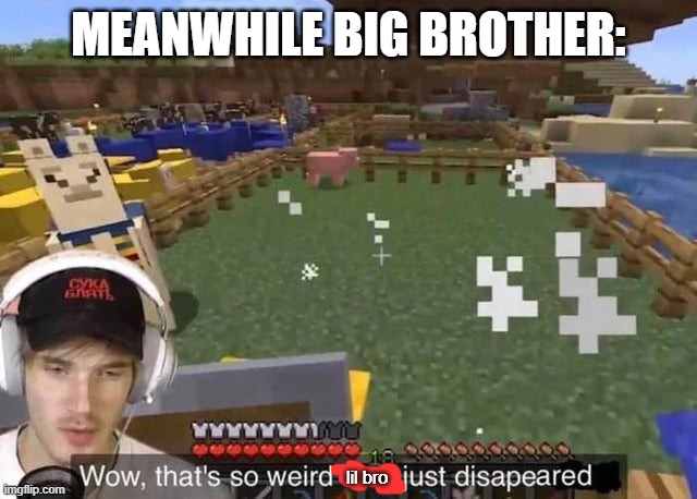 Wow that's so weird they just disappeared | MEANWHILE BIG BROTHER: lil bro | image tagged in wow that's so weird they just disappeared | made w/ Imgflip meme maker