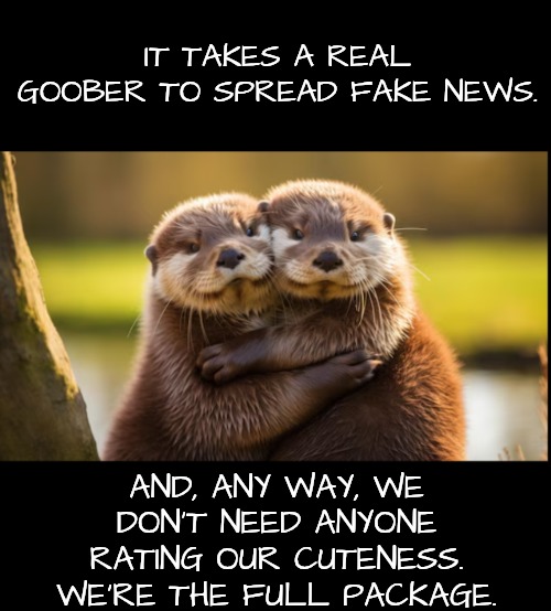 IT TAKES A REAL GOOBER TO SPREAD FAKE NEWS. AND, ANY WAY, WE DON'T NEED ANYONE RATING OUR CUTENESS. WE'RE THE FULL PACKAGE. | made w/ Imgflip meme maker