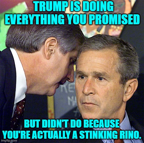 G.W. claimed to be a conservative; but I don't think he ever really was. | TRUMP IS DOING EVERYTHING YOU PROMISED; BUT DIDN'T DO BECAUSE YOU'RE ACTUALLY A STINKING RINO. | image tagged in bush learning about 9/11 | made w/ Imgflip meme maker