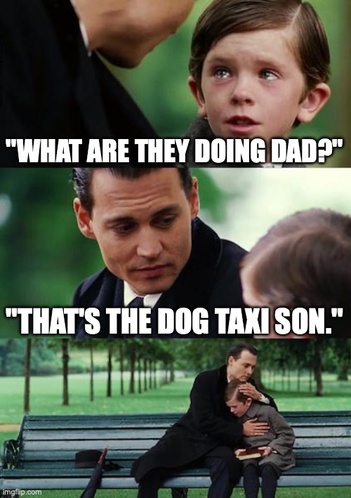 Finding Neverland | "WHAT ARE THEY DOING DAD?"; "THAT'S THE DOG TAXI SON." | image tagged in memes,finding neverland | made w/ Imgflip meme maker