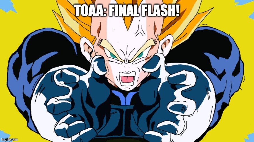 Final Flash | TOAA: FINAL FLASH! | image tagged in final flash | made w/ Imgflip meme maker