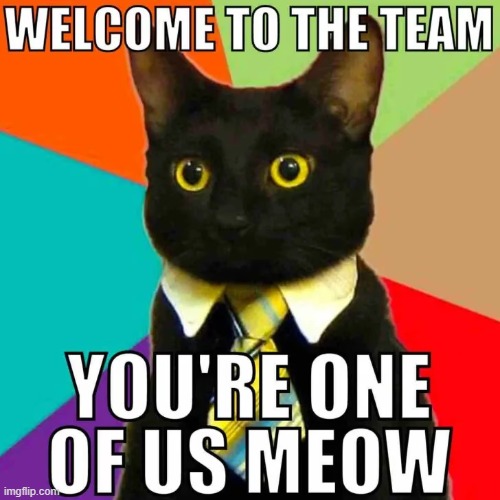 Blackie was quite open —not at all "catty," as I had heard | image tagged in vince vance,cats,welcome,meow,funny cat memes,team | made w/ Imgflip meme maker