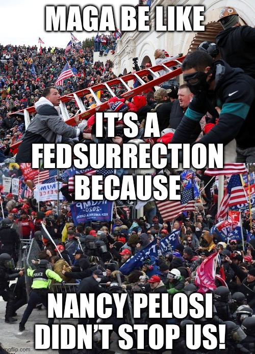 Don’t forget Trump pardoned Antifa, y’all! | MAGA BE LIKE; IT’S A FEDSURRECTION BECAUSE; NANCY PELOSI DIDN’T STOP US! | image tagged in qanon - insurrection - trump riot - sedition,cop-killer maga right wing capitol riot january 6th | made w/ Imgflip meme maker