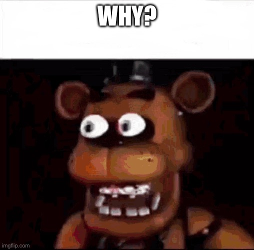WHY? | image tagged in shocked freddy fazbear | made w/ Imgflip meme maker