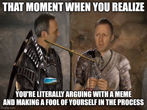 Kilogram of Steel Feathers | THAT MOMENT WHEN YOU REALIZE; YOU'RE LITERALLY ARGUING WITH A MEME AND MAKING A FOOL OF YOURSELF IN THE PROCESS | image tagged in can't argue with that / technically not wrong,it's hard to argue with his assessment,they're the same picture | made w/ Imgflip meme maker