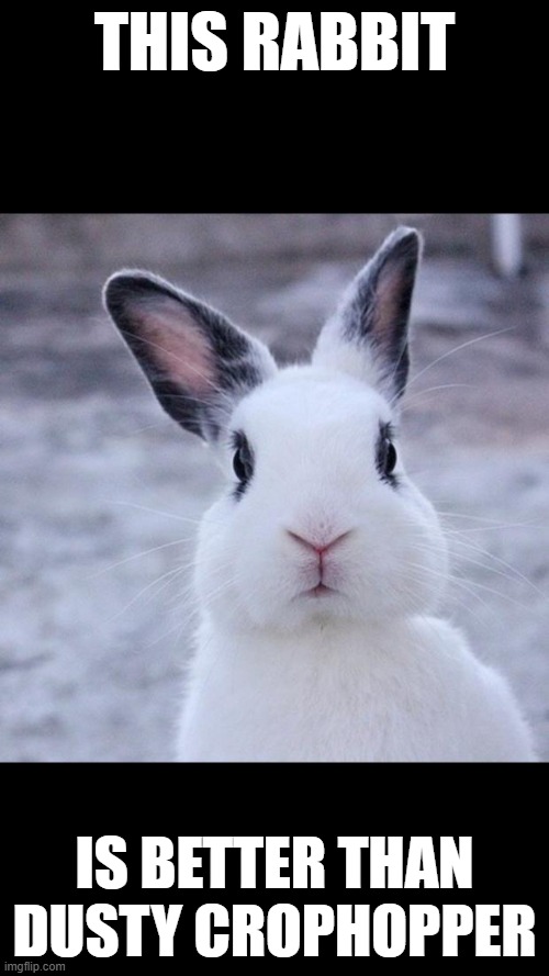 Rabbit | THIS RABBIT; IS BETTER THAN DUSTY CROPHOPPER | image tagged in rabbit | made w/ Imgflip meme maker