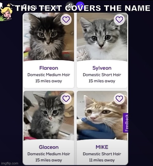 screenshot | THIS TEXT COVERS THE NAME | made w/ Imgflip meme maker