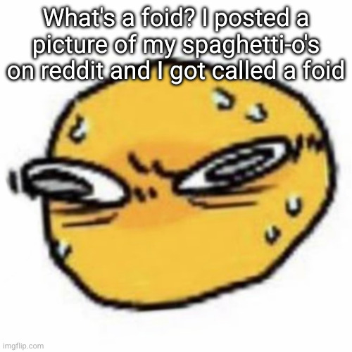 qsqhwhhqshqhh,,, , | What's a foid? I posted a picture of my spaghetti-o's on reddit and I got called a foid | image tagged in qsqhwhhqshqhh | made w/ Imgflip meme maker