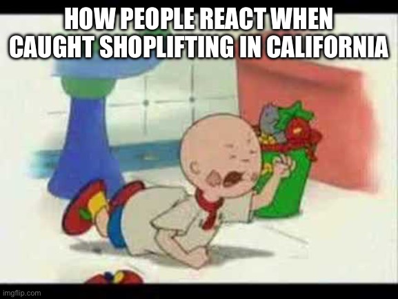 How shoplifters react in California when caught shoplifting | HOW PEOPLE REACT WHEN CAUGHT SHOPLIFTING IN CALIFORNIA | image tagged in caillou's tantrum,caillou,shoplifting,california,stealing,brat | made w/ Imgflip meme maker