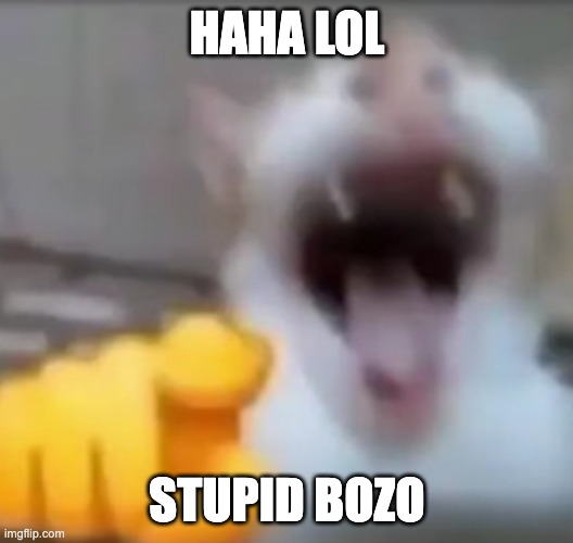 Cat pointing and laughing | HAHA LOL STUPID BOZO | image tagged in cat pointing and laughing | made w/ Imgflip meme maker