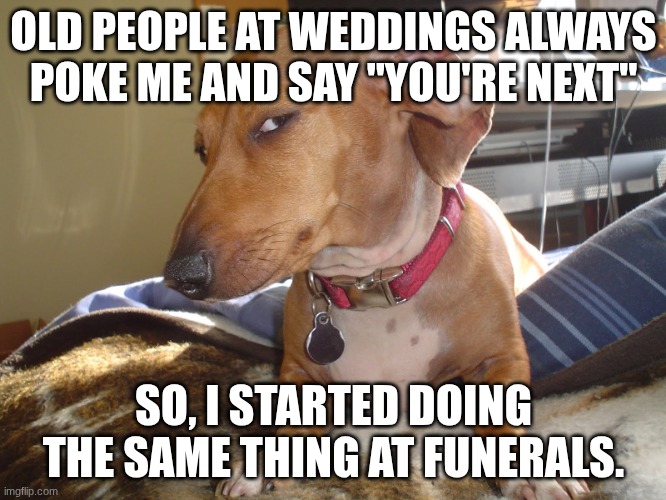 What? | OLD PEOPLE AT WEDDINGS ALWAYS POKE ME AND SAY "YOU'RE NEXT"; SO, I STARTED DOING THE SAME THING AT FUNERALS. | image tagged in suspicious dog | made w/ Imgflip meme maker