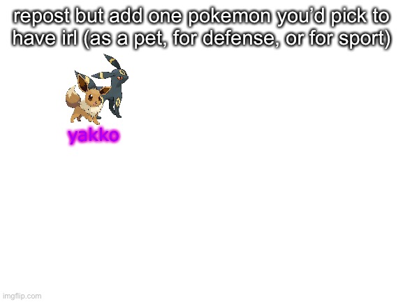 Blank White Template | repost but add one pokemon you’d pick to have irl (as a pet, for defense, or for sport); yakko | image tagged in blank white template | made w/ Imgflip meme maker