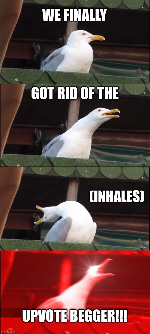 Inhaling Seagull Meme | WE FINALLY GOT RID OF THE (INHALES) UPVOTE BEGGER!!! | image tagged in memes,inhaling seagull | made w/ Imgflip meme maker