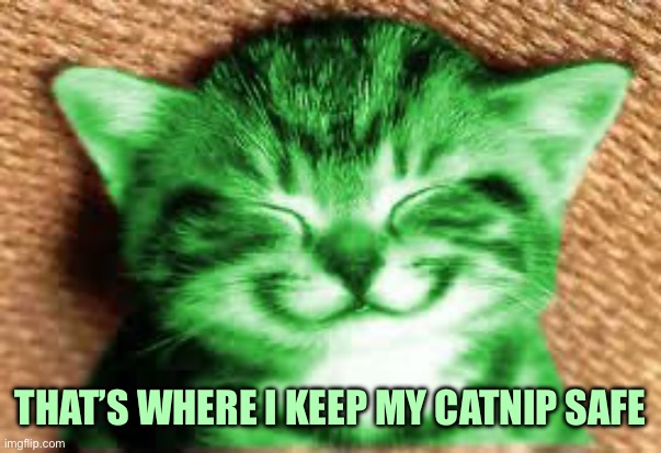 happy RayCat | THAT’S WHERE I KEEP MY CATNIP SAFE | image tagged in happy raycat | made w/ Imgflip meme maker