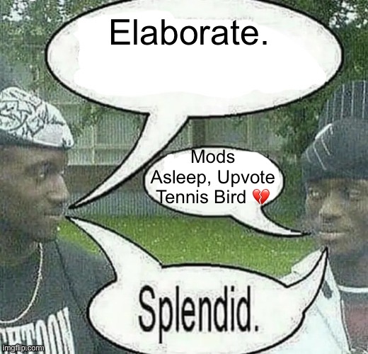 We sell crack Splendid | Elaborate. Mods Asleep, Upvote Tennis Bird ? | image tagged in we sell crack splendid | made w/ Imgflip meme maker