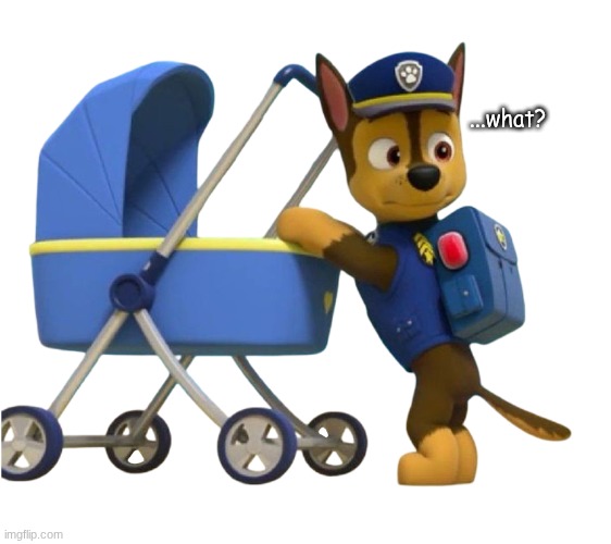 Chase with a Stroller | ...what? | image tagged in chase with a stroller | made w/ Imgflip meme maker