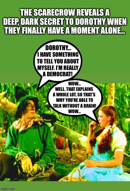 That explains it… | THE SCARECROW REVEALS A DEEP, DARK SECRET TO DOROTHY WHEN THEY FINALLY HAVE A MOMENT ALONE… | image tagged in political meme,wizard of oz,dorothy,scarecrow,democrat,no brain | made w/ Imgflip meme maker