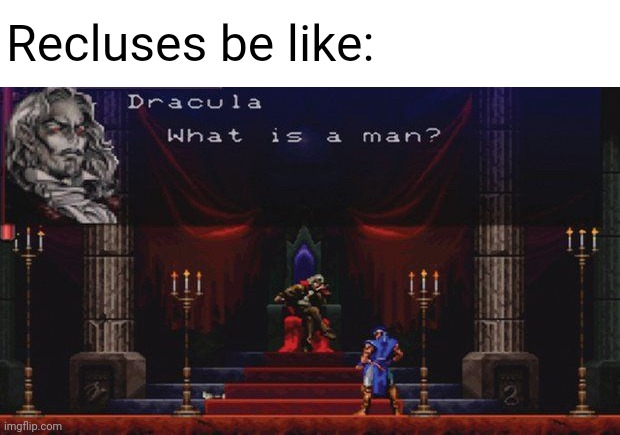 Recluses be like: | image tagged in so true memes,loner | made w/ Imgflip meme maker