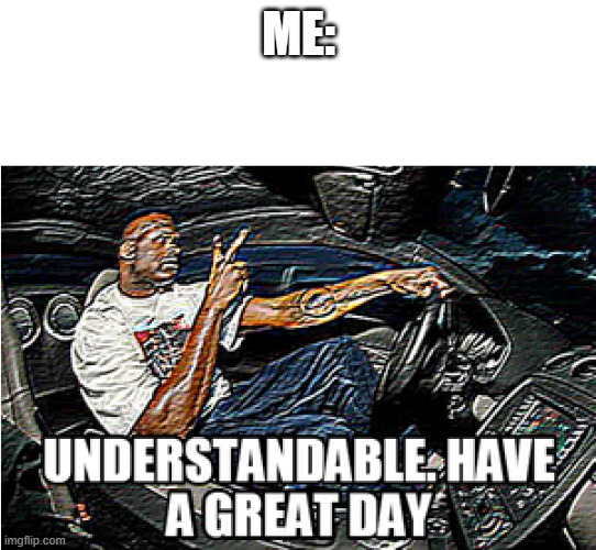 UNDERSTANDABLE, HAVE A GREAT DAY | ME: | image tagged in understandable have a great day | made w/ Imgflip meme maker