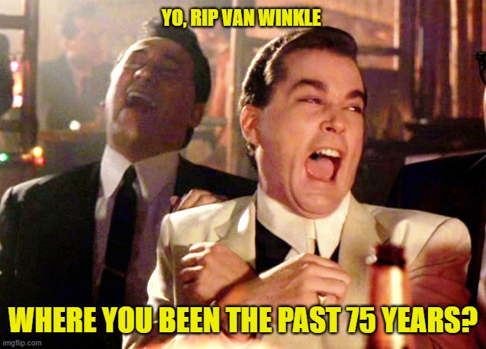 YO, RIP VAN WINKLE WHERE YOU BEEN THE PAST 75 YEARS? | image tagged in memes,good fellas hilarious | made w/ Imgflip meme maker