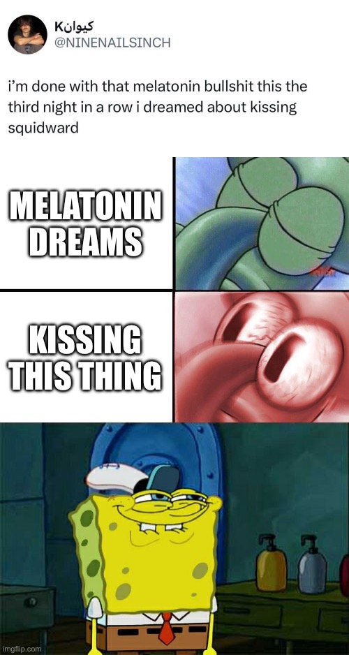Squidward My Boy | MELATONIN DREAMS; KISSING THIS THING | image tagged in sleeping squidward,memes,don't you squidward,kissing,melatonin | made w/ Imgflip meme maker