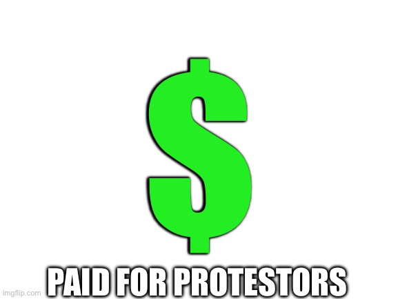 Blank White Template | $ PAID FOR PROTESTORS | image tagged in blank white template | made w/ Imgflip meme maker