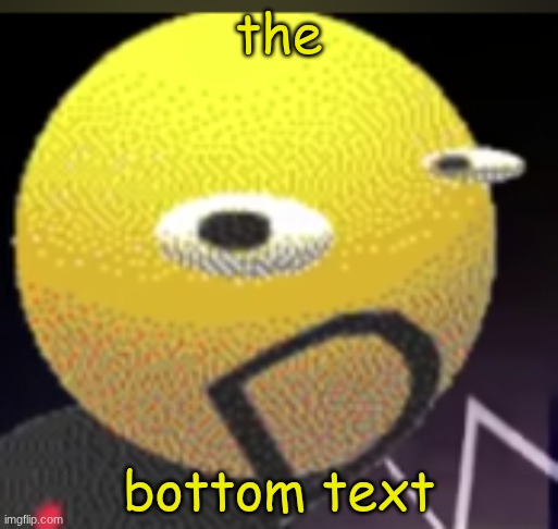 iqot | the; bottom text | image tagged in iqot | made w/ Imgflip meme maker