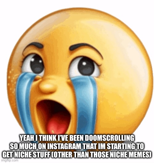 Realistic sob crying emoji | YEAH I THINK I’VE BEEN DOOMSCROLLING SO MUCH ON INSTAGRAM THAT IM STARTING TO GET NICHE STUFF (OTHER THAN THOSE NICHE MEMES) | image tagged in realistic sob crying emoji | made w/ Imgflip meme maker