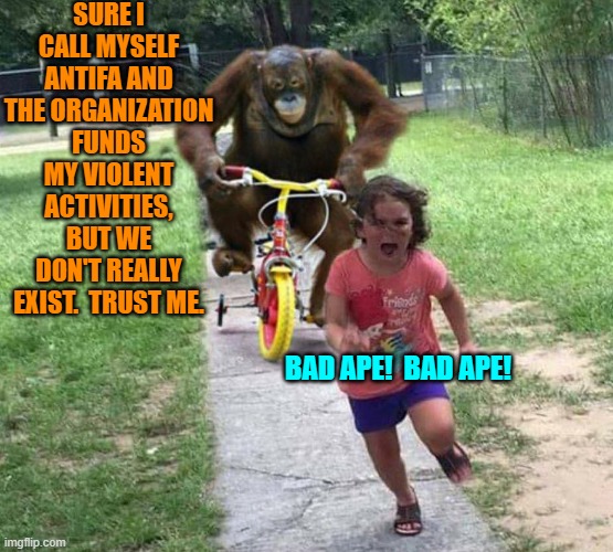 We aren't REALLY letting in millions upon millions of illegals, said the Left.  Trust me. | SURE I CALL MYSELF ANTIFA AND THE ORGANIZATION FUNDS MY VIOLENT ACTIVITIES, BUT WE DON'T REALLY EXIST.  TRUST ME. BAD APE!  BAD APE! | image tagged in run | made w/ Imgflip meme maker