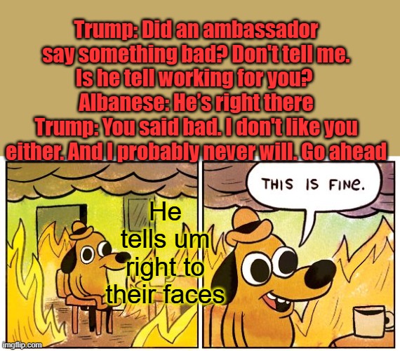 'I Don't Like You': Trump Tells Off Ambassador To His Face In Beautiful White House Moment | Trump: Did an ambassador say something bad? Don't tell me. Is he tell working for you? 
Albanese: He’s right there
Trump: You said bad. I don't like you either. And I probably never will. Go ahead; He tells um right to their faces | image tagged in memes,this is fine | made w/ Imgflip meme maker