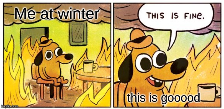 winter | Me at winter; this is gooood | image tagged in memes,this is fine | made w/ Imgflip meme maker